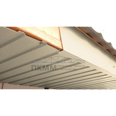 Планка лобовая 200х30х2000-0.5 Norman RAL1015