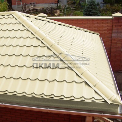 Заглушка конька круглого конусная-0.5 Norman RAL1014
