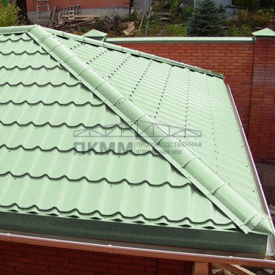 Заглушка конька круглого конусная-0.5 Norman RAL6019