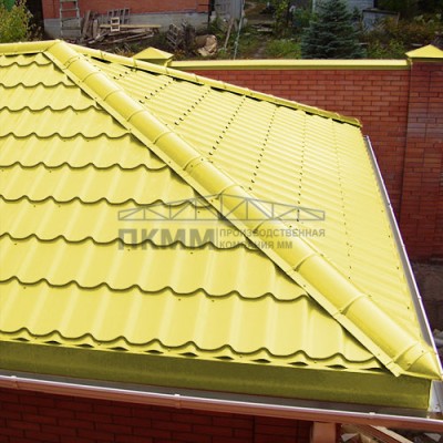 Заглушка конька круглого конусная-0.5 Norman RAL1018