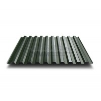 Профнастил C21-0.5-1000 Viking E RAL6007