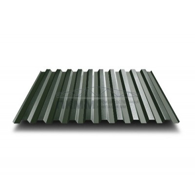 Профнастил C21-0.5-1000 Viking E RAL6007