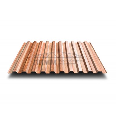 Профнастил C21-0.5-1000 ECOSTEEL-T Кедр