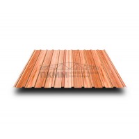 Профнастил С10-1160-0.5 Кедр ECOSTEEL_T