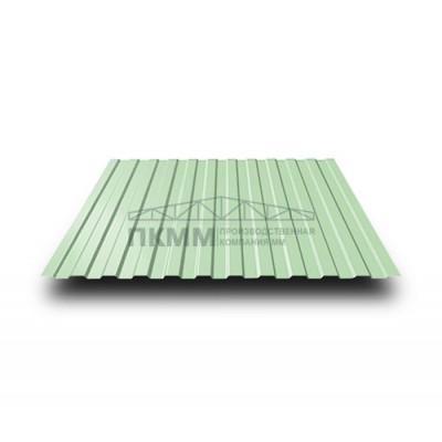 Профнастил СС10-1160-0.5 RAL6019 Norman