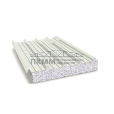 Кровельные сэндвич-панели пенополистирол, ширина 1000 мм, толщина 10 мм, 0.5/0.5, RAL9002